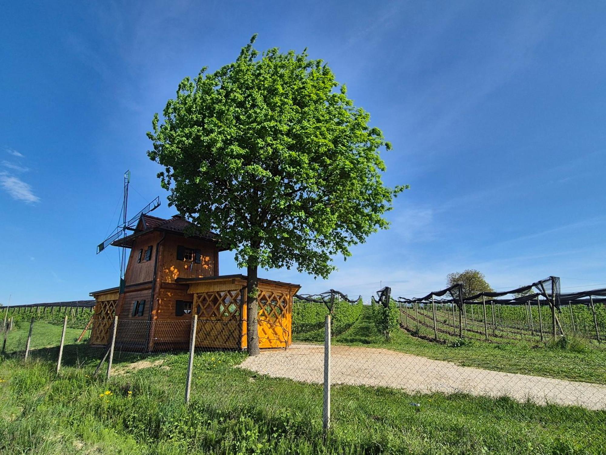 Unique Wooden Holiday House In Nature Lukovica pri Domžalah Exteriér fotografie
